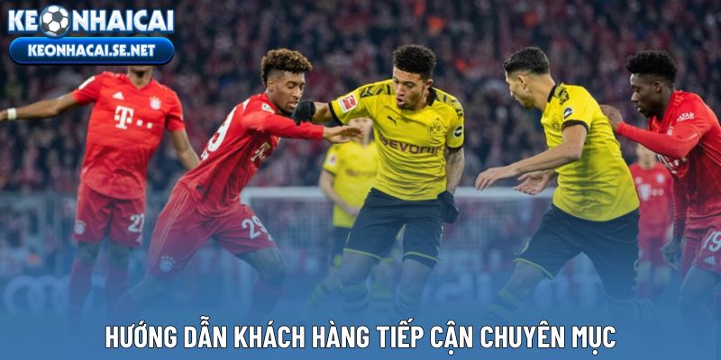 Hướng dẫn khách hàng tiếp cận chuyên mục